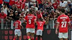 Vaga no aeroporto afeta jogo do Benfica para a Taça de Portugal 
