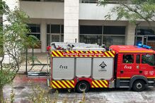 Pérgola cai de um prédio e atinge árvore na Alta de Lisboa