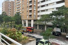 Pérgola cai de um prédio e atinge árvore na Alta de Lisboa