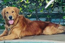 Churros tinha quase três anos