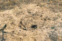 O buraco onde Lara foi enterrada