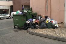 Lixo atrai mosquitos