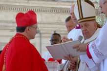 2023-09-30_09_41_02 cardeal.png