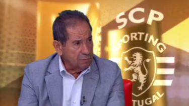 Octávio Machado: “Há uma série de contradições”