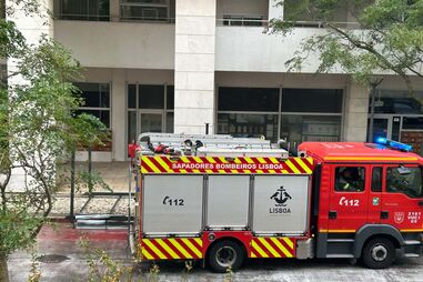 Pérgola cai de um prédio e atinge árvore na Alta de Lisboa