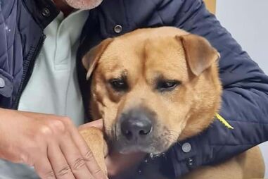 Boris Baguim assina contrato em Gondomar