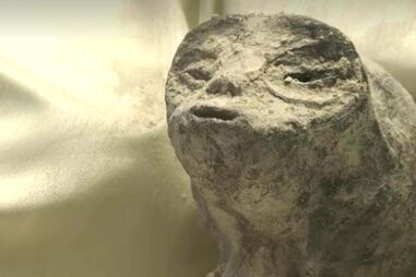 Jornalista apresentou corpos de seres "não humanos" na Câmara dos Deputados do México