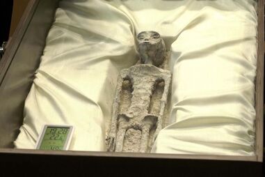 Veja em detalhe os corpos de alegados aliens mostrados no Parlamento do México