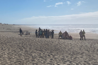 Vários meios acionados para duas ocorrências de afogamento na Póvoa de Varzim