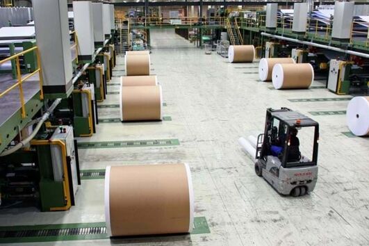 Navigator apoia produtores florestais afetados pela depressão Kristin