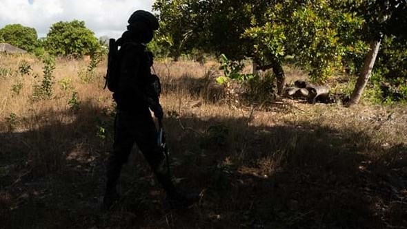 Polícia Moçambicana Detém Dois Suspeitos De Rapto Ocorrido Em 2022 Em Maputo África Correio 1548