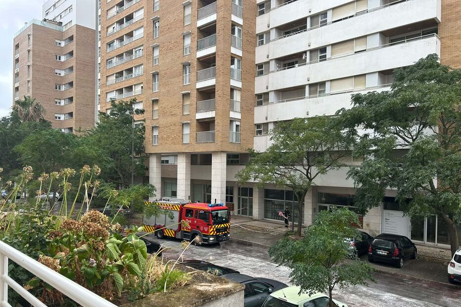 Pérgola cai de um prédio e atinge árvore na Alta de Lisboa
