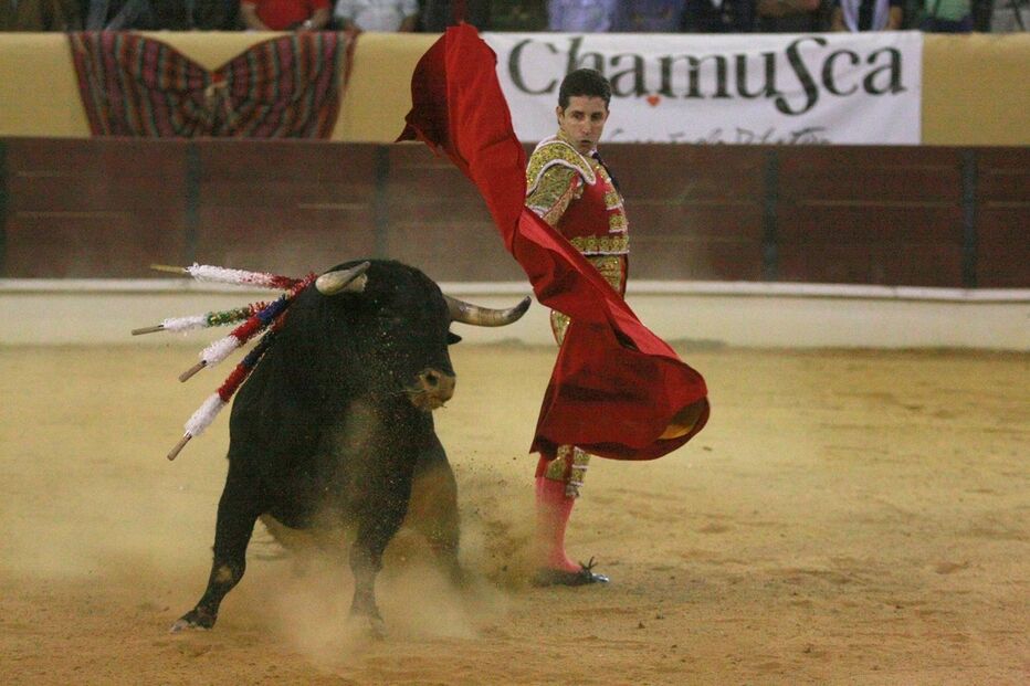 Imagem pedrito de Portugal 12780385.jpg (19006570) (Milenium)