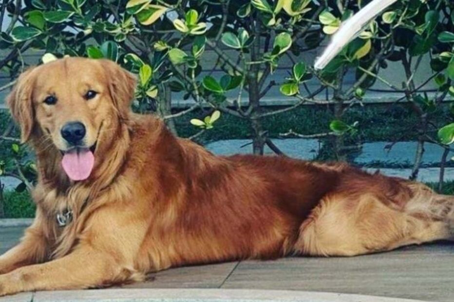 Churros tinha quase três anos