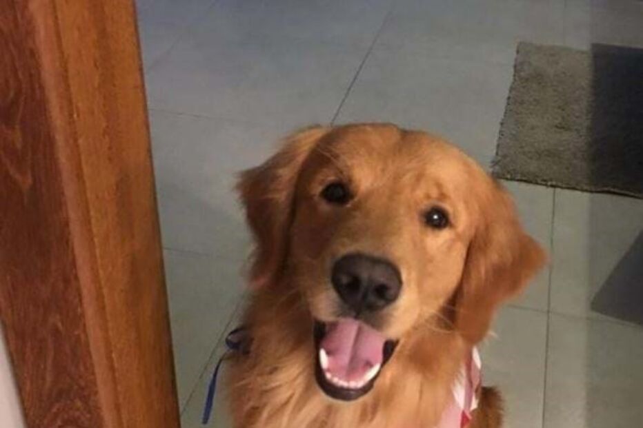 Churros tinha quase três anos