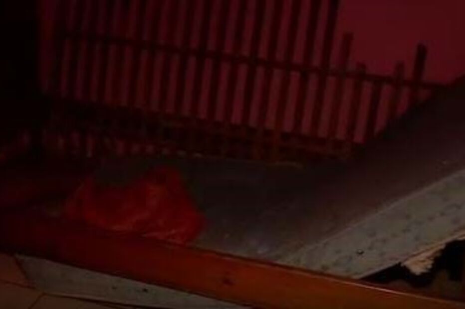 Adolescente dormiu com cadáver da irmã escondido debaixo da cama num quarto sem janelas