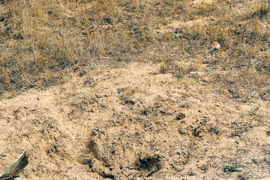 O buraco onde Lara foi enterrada