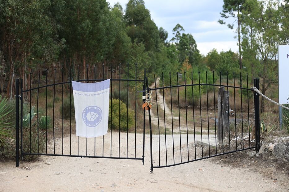 Imagem AZ8A6127.JPG (19076644) (Milenium)