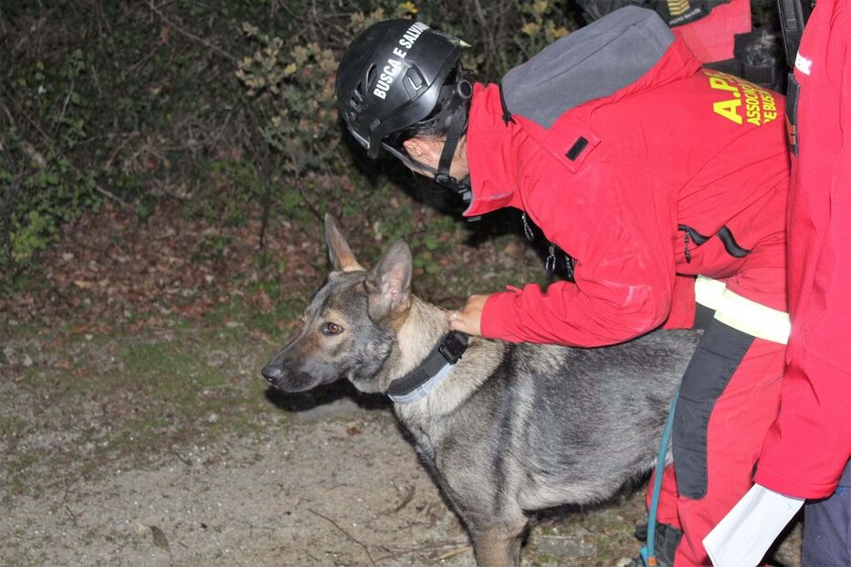 2023-09-21_20_01_57 996ae2a6-7552-4589-9929-13312ff94493.jpg