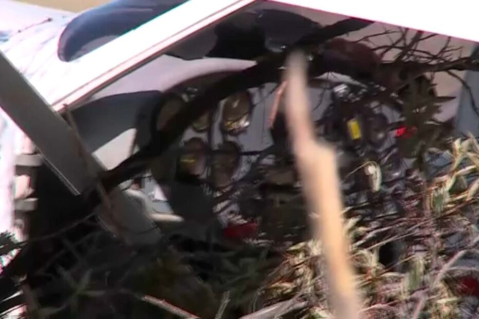 Aeronave obrigada a fazer aterragem de emergência em Setúbal