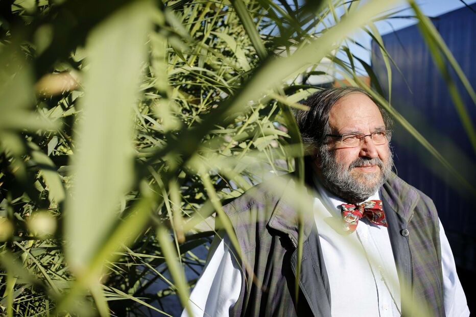 Fernando Carvalho Rodrigues 