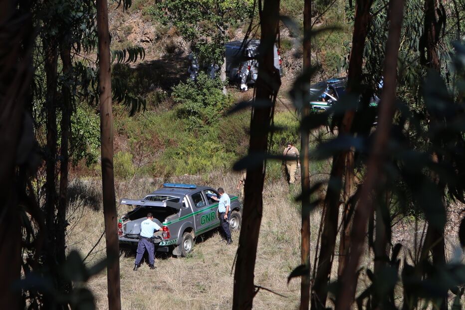 Homicídio à facada no pinhal em Pedrógão Grande com versões contraditórias