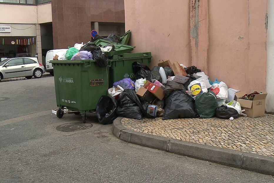 Lixo atrai mosquitos