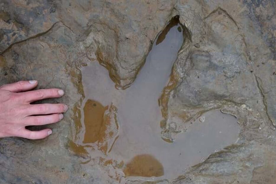 Pegada de dinossauro (Imagem ilustrativa)