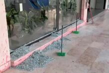 De novo ao ataque: Ativistas estilhaçam vidros da fachada do edifício da REN em Lisboa