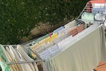 Maria Botelho Moniz preparativos