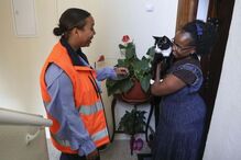 Voluntários da Animaliife apoiam famílias carenciadas que possuam animais 