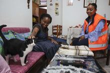 Voluntários da Animaliife apoiam famílias carenciadas que possuam animais 