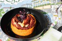 2023-10-31_11_14_40 Polvo.jpg