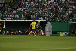 I Liga: Sporting recebe Arouca em jogo decisivo para liderança