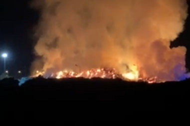 Mais de 140 bombeiros combatem chamas em fábrica de 'pellets' em Arganil