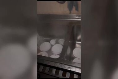 Infestação de baratas em cozinha da Academia Militar