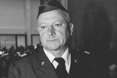 José Bessa morreu após ser picado por uma vespa asiática