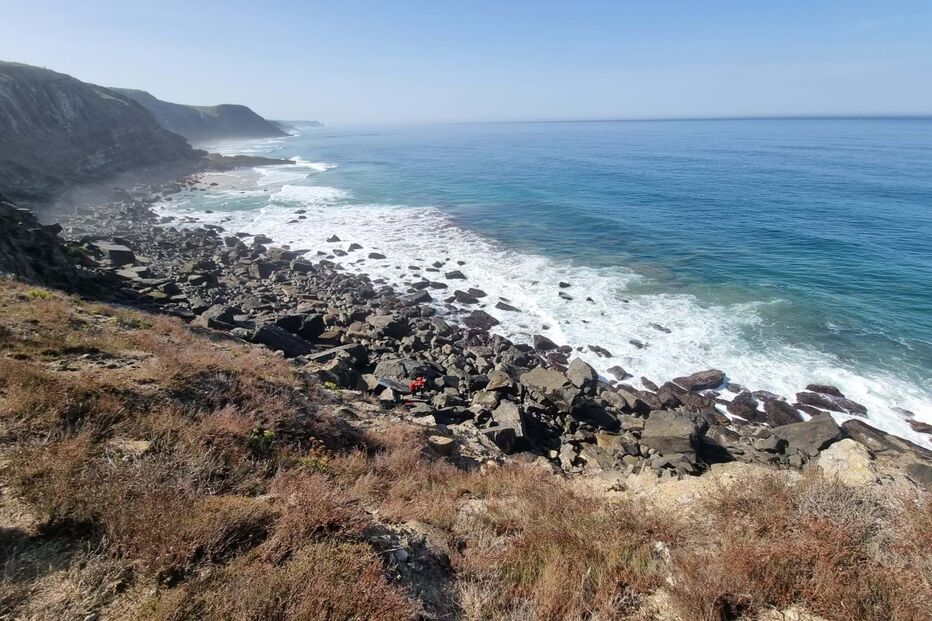 2023-10-01_12_56_38 imgpsh_fullsize_anim.jpg