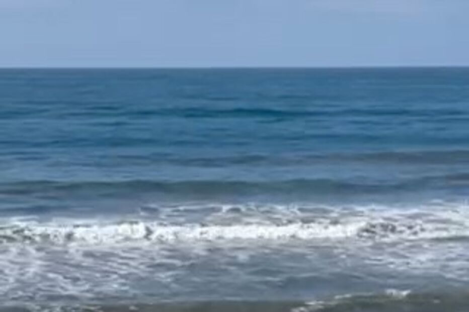 Imagem 48991325.jpg (19249683) (Milenium)