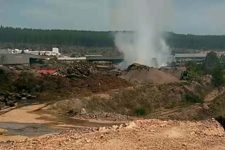 Incêndio em empresa de 'pellets' em Arganil demorará até domingo a ser resolvido