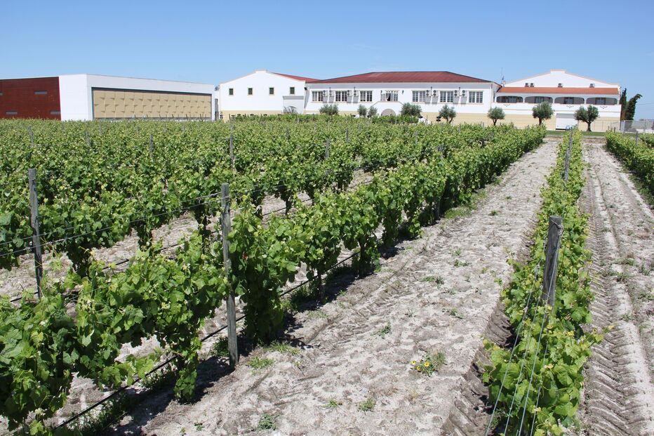 2023-10-06_16_00_27 Foto principal_ERMELINDA FREITAS (2).jpg