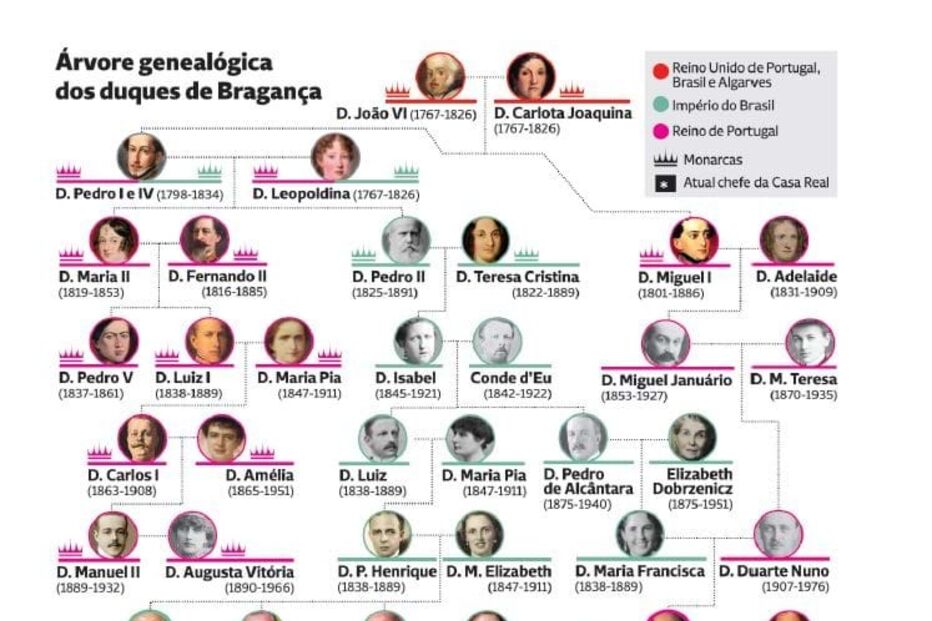 2023-10-07_00_39_21 arvore.JPG