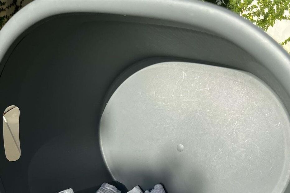 Maria Botelho Moniz preparativos