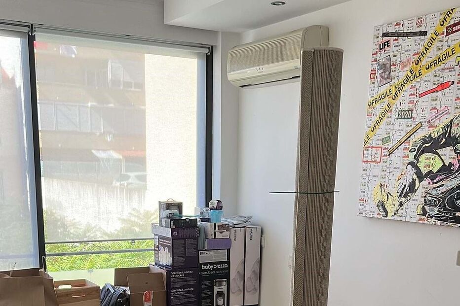 Maria Botelho Moniz preparativos