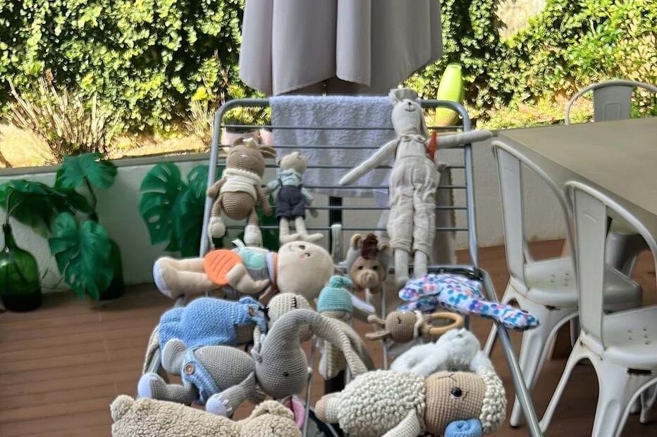 Maria Botelho Moniz preparativos