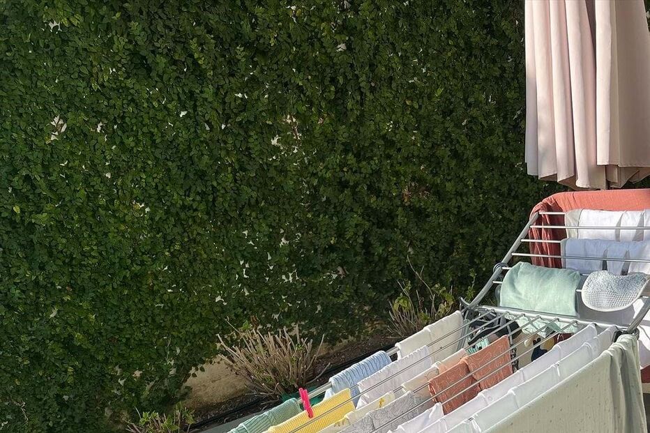 Maria Botelho Moniz preparativos