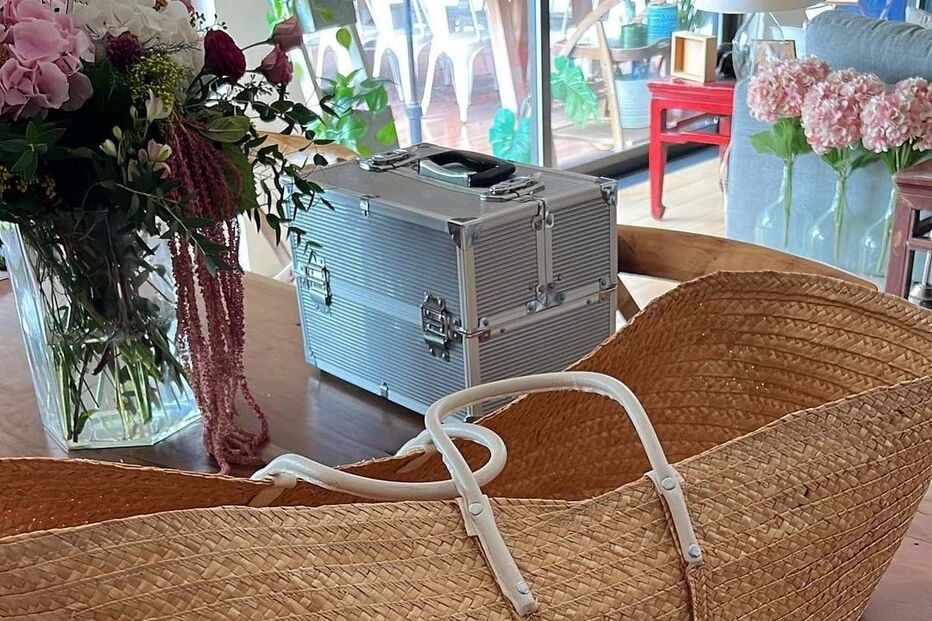 Maria Botelho Moniz preparativos