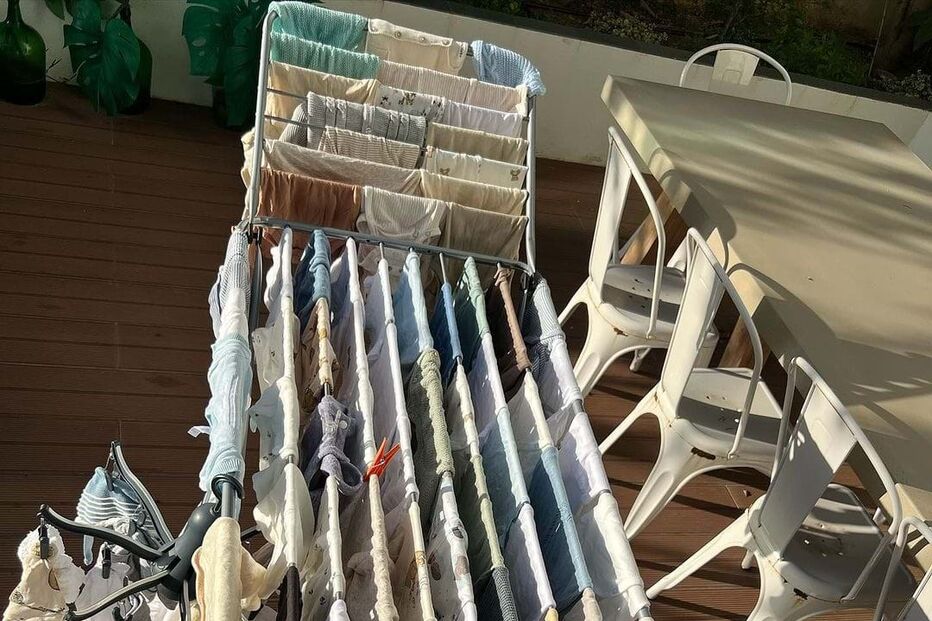 Maria Botelho Moniz preparativos