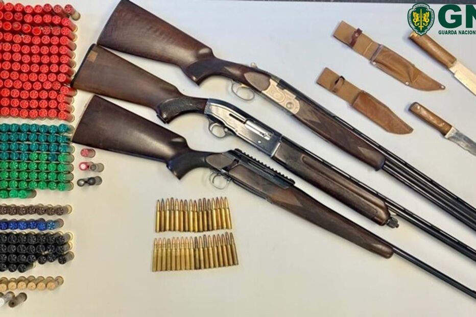 GNR apreende armas de fogo em Resende