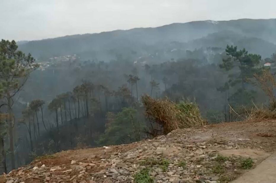 Incêndios na Madeira
